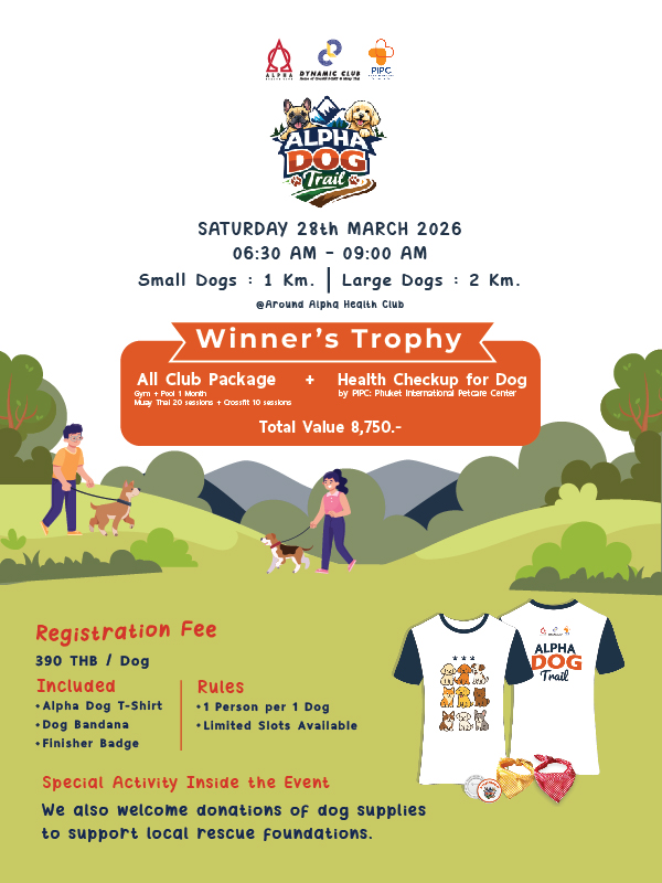 ice bath experience in Phuket, ice bath phuket