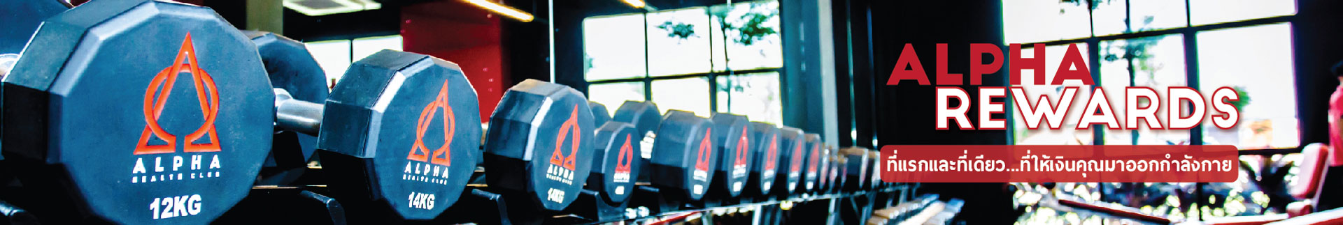 alpha rewards